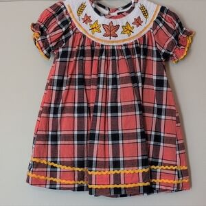 Lil Cactus Plaid Baby Girls Dress with Leaf Accents | 12-24M